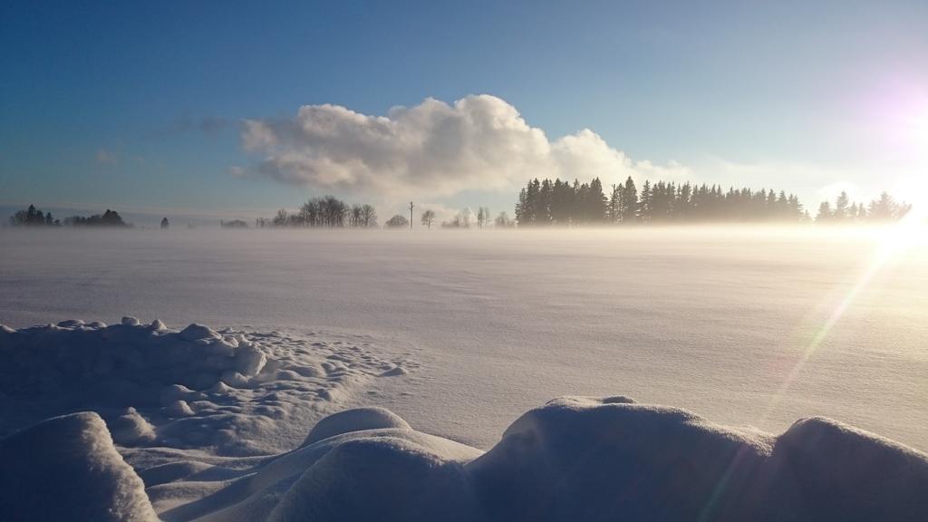 Schwarzwald Lodge Rothaus Grafenhausen Buitenkant foto